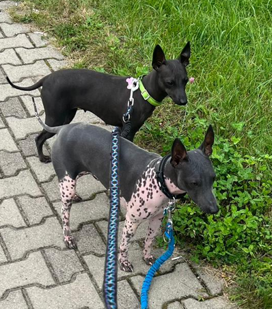 Arman a Bella.png
